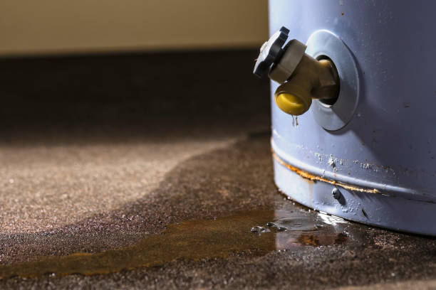 Sewage cleanup and water damage restoration in FL