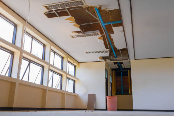 Best Basement water damage restoration  in Timber Pines, FL