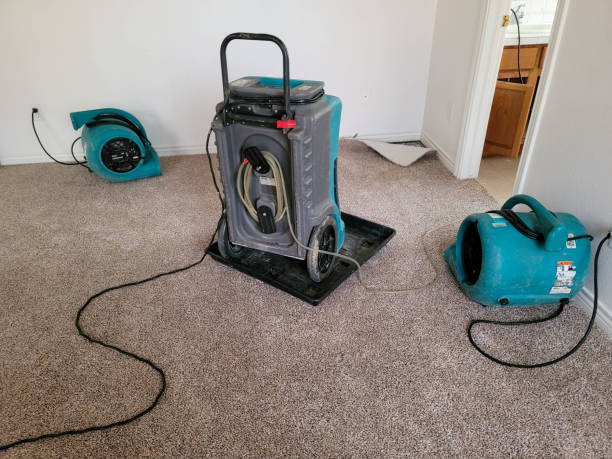 Best Emergency water damage restoration  in Timber Pines, FL