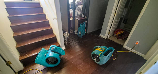 Best Fire Damage Restoration  in Timber Pines, FL