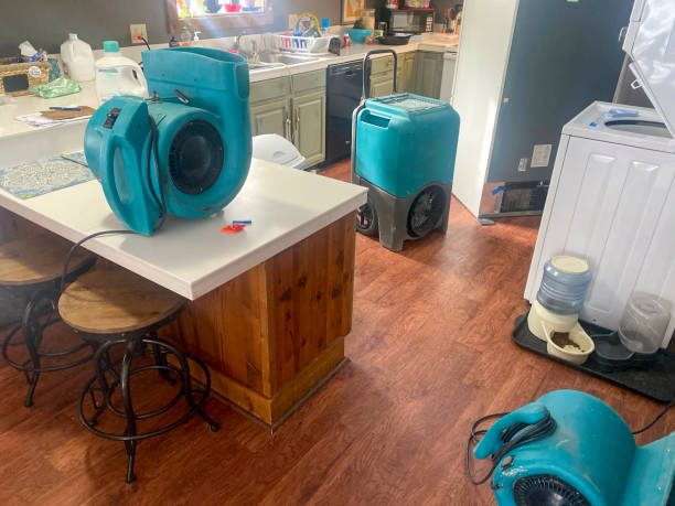 Best Professional water damage repair  in Timber Pines, FL