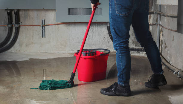 Best Flood restoration services  in Timber Pines, FL