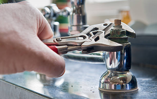 Best Flood restoration services  in Timber Pines, FL