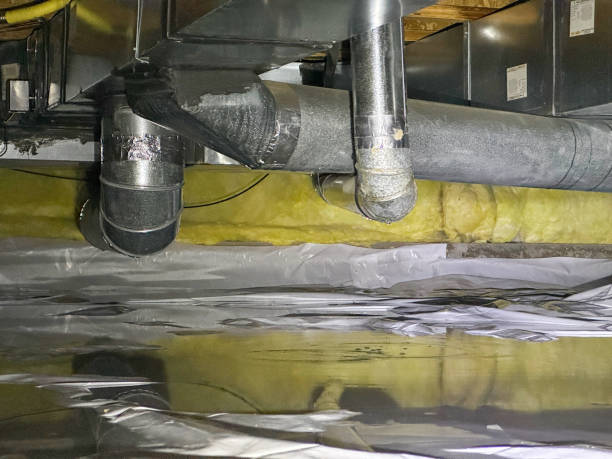 Best Emergency water damage restoration  in Timber Pines, FL
