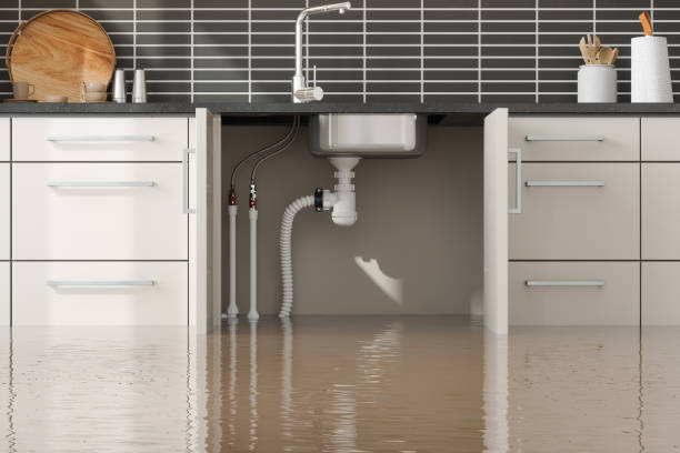 Best Water damage cleanup near me  in Timber Pines, FL