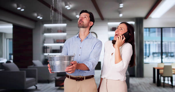 Best Residential water damage restoration  in Timber Pines, FL