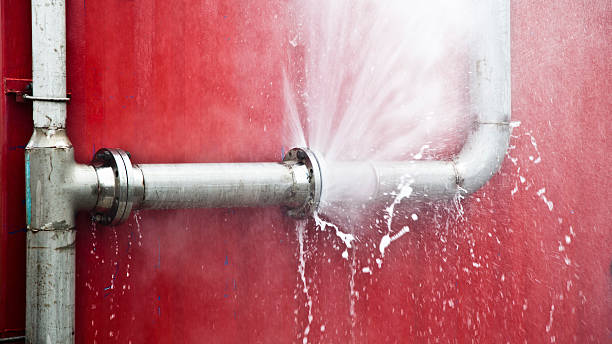 Best Water damage restoration mold remediation  in Timber Pines, FL